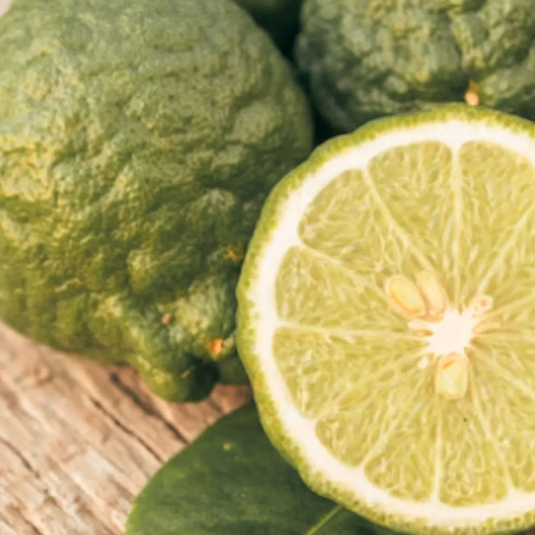 Aromatic Echo — ingrediente